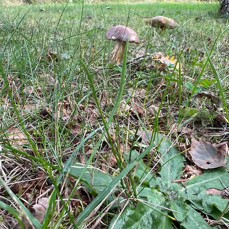 En Pleine Nature Шале *