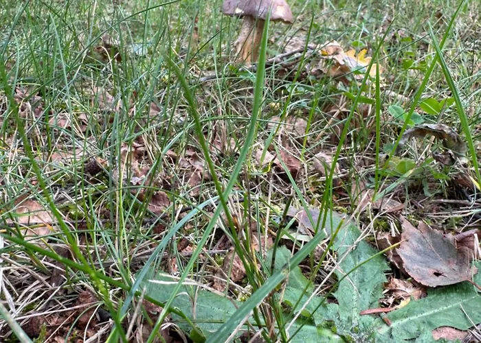 En Pleine Nature Horská chata *